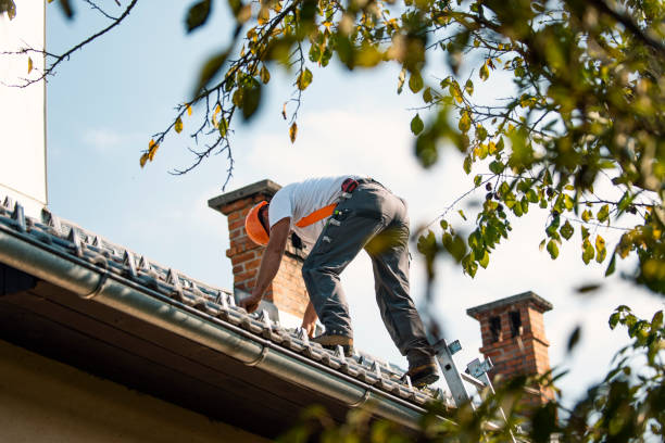 Roof Repair Estimates in Parchment, MI